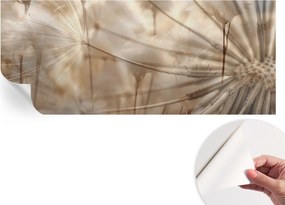 Öntapadós fotótapéta falra 3D Loft Finom pitypangok 250x104 cm