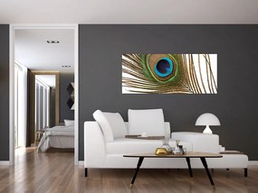 Pávatoll képe (120x50 cm)