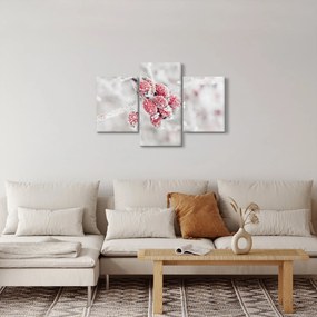 Kép - Fagyasztott gyümölcsök (90x60 cm)