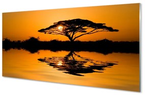 Üvegképek Sunset fa 100x50 cm
