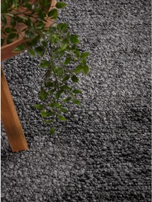 Sötétszürke kézi szövésű buklé szőnyeg 160x230 cm Notting Hill Portobello – Ted Baker