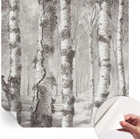 Fotótapéta Dekoratív Fali Tapéta Képekkel Nyírerdő 250x250