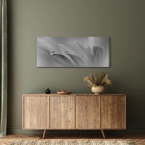 Kép - Csepp a virágon, fekete-fehér (120x50 cm)