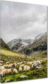 Vászonkép 80x120 Juh legeltetés Bárányok Juhok
