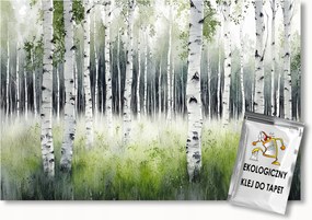 Fotótapéta Flizelina Természet Erdő Park Nyírfák 300x210 ragasztó