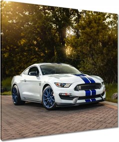 Vászonkép 80x80 Ford Mustang Usa autó