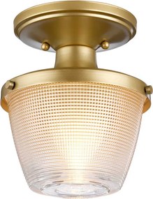 Elstead Lighting DUBLIN QZ-DUBLIN-SF-PNBR Plafonlámpa 1x60W/E27 IP44