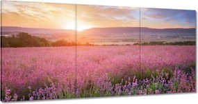 Vászonkép 120x60 Csodálatos naplemente