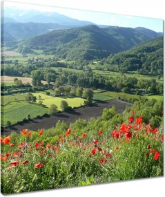 Vászonkép 50x50 Virágos kilátás a hegyekben