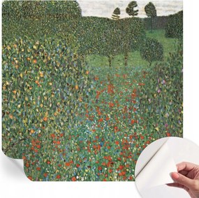 Öntapadós Dekoratív Fotótapéta Hálószobába Virágos rét 250x250 cm