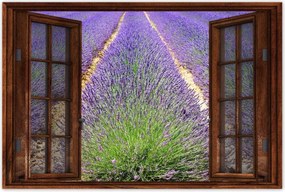 Poszterek 90x60 Levendula