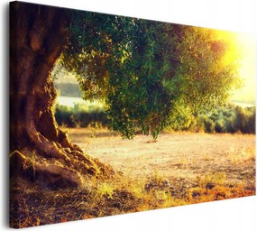 Vászonkép fali dekoráció nappaliba zöld olajfa 60x90