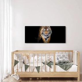 Kép - Tigris (120x50 cm)
