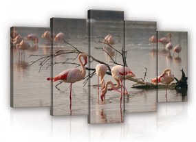 Vászonkép 5 darabos, Flamingók a vízben 100x60 cm méretben