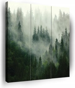 Vászonkép Erdő A Ködben Falra 3 Részes Triptichon Hálószoba Nappali 90x100