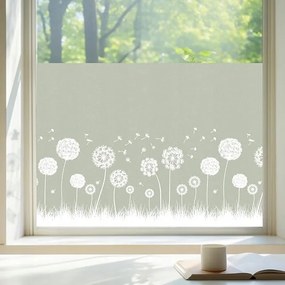 Pitypang mintát elfedő ablakfólia ragasztó nélkül 44,5 x 200 cm