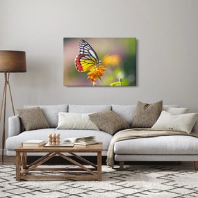 Egy pillangó képe a virágon (90x60 cm)
