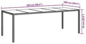 Kerti Étkezőasztal Bézs 250x100x75 cm Polirattan