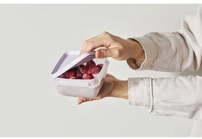 SmartStore Műanyag dobozok szett Freezer 3 db,levan dule, 1000 ml, 1000 ml