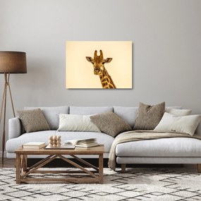 Egy zsiráf képe (üvegen) (70x50 cm)