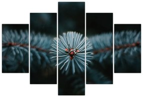 Egy tűlevelű fa gallyának képe (150x105 cm)