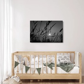 Kép - rét naplementével (90x60 cm)