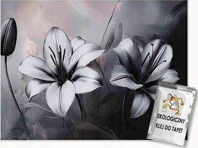 Fotótapéta Virágok 3D Fehér-fekete Beton Falra Hálószoba Nappali 150x105