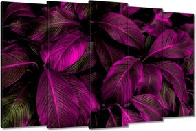 Vászonkép 150x95 Gyönyörű fukszia levelek