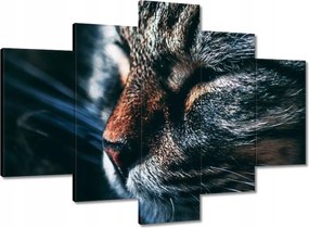 Képek 150x105 Cica Cicák