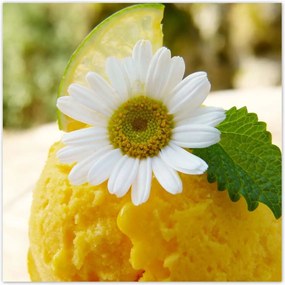 Poszterek 100x100 Gyümölcsös sárgabarack fagylalt