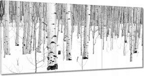 Vászonkép 180x90 Téli nyírfák
