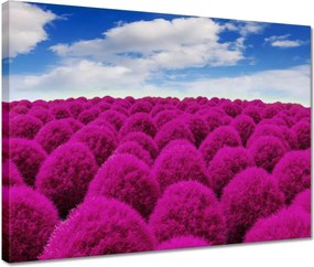 Vászonkép 40x30 Kifejező rét Tájkép