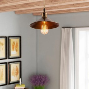 Bronzszínű mennyezeti lámpa fém búrával ø 24 cm Berceste – Opviq lights