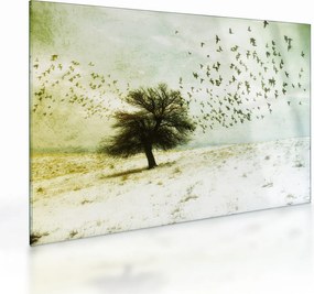 Kép - Festett madárállomány (üvegen) (70x50 cm)