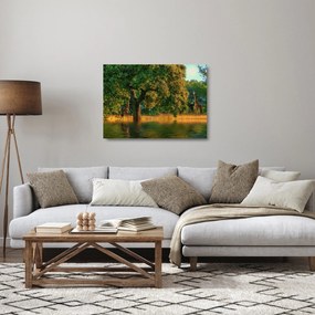 Zsiráf a természetben képe (üvegen) (70x50 cm)