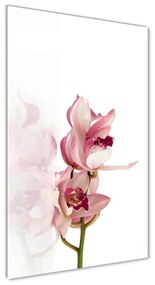 Akrilkép Rózsaszín orchidea oav-18886978
