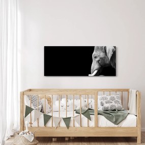 Kép - Elefánt (120x50 cm)
