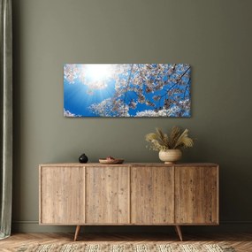 Kép - Cseresznyevirág (120x50 cm)