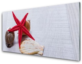 Akrilüveg fotó Starfish Shells Art 125x50 cm