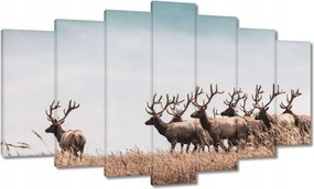 Vászonkép 140x80 Szarvascsorda Szarvak