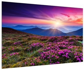 Virágzó hegyi tájkép (90x60 cm)