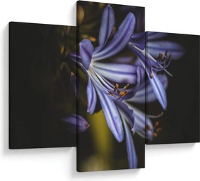 Kép - Lila (90x60 cm)