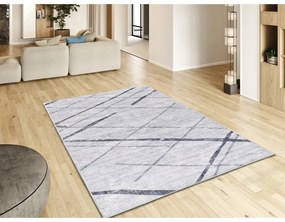 Világosszürke szőnyeg 160x230 cm Class – Universal