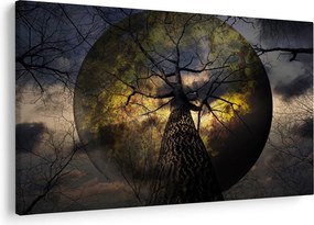 Kép - Titokzatos ég (90x60 cm)