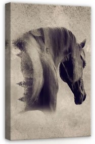 Ló, vászonkép, 40x60 cm méretben