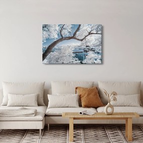 A víz mellett egy havas fa képe (90x60 cm)