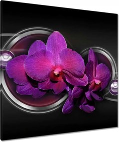 Vászonkép 80x80 Lila orchidea