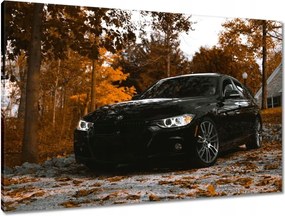 Vászonkép 90x60 Fekete Bmw Ősz
