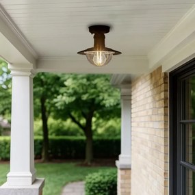 Brilagi - Kültéri mennyezeti lámpa MOLDE 1xE27/60W IP44 fekete