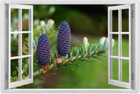 Poszterek 60x40 Lila tobozok